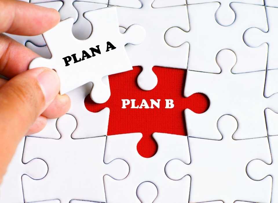 The Importance Of A Plan B - Visionary Results